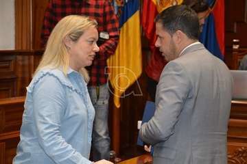 Pleno ordinario de febrero de 2020 (Foto TA)